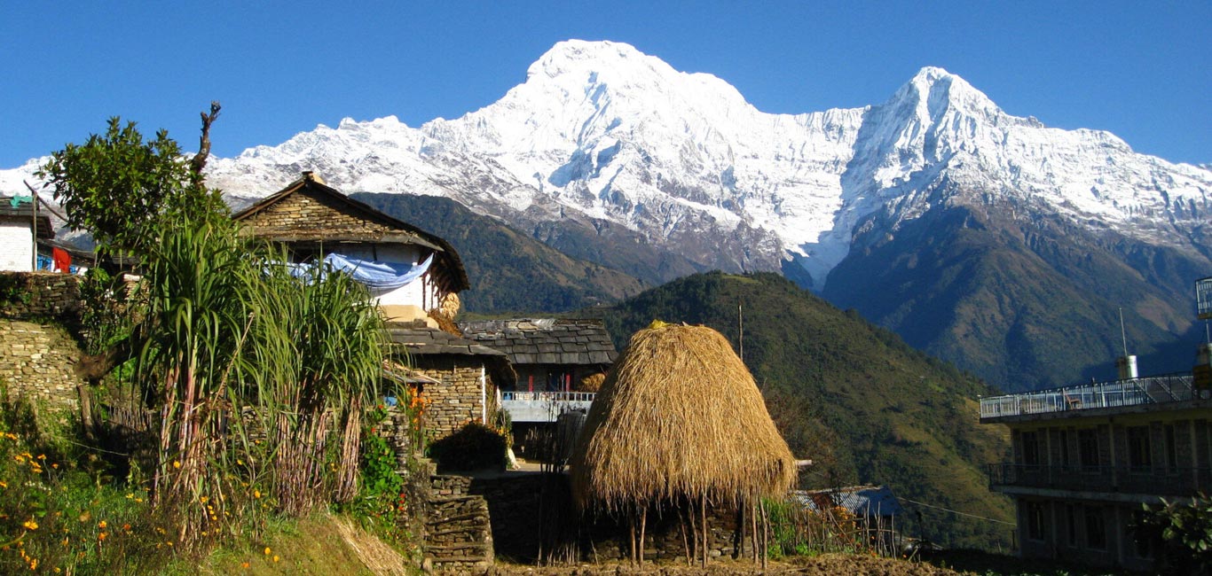 Dhampus Village Trek